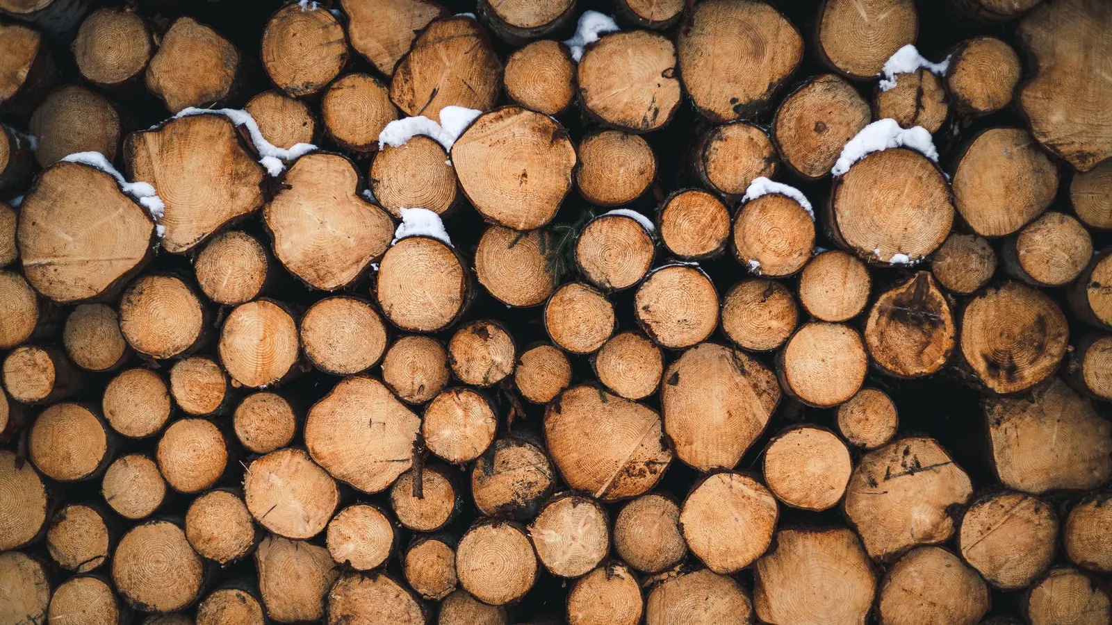 Bûches de bois empilées
